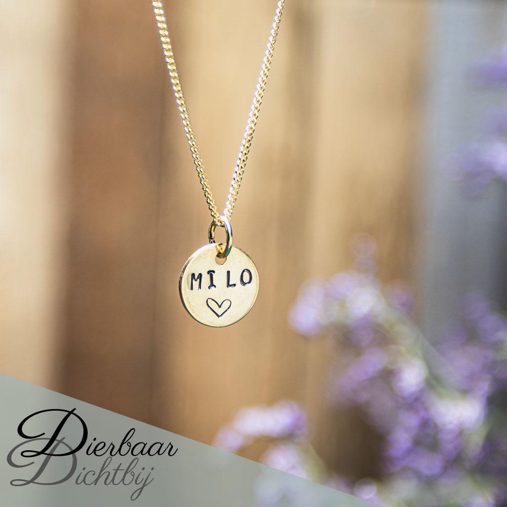 Ketting met letter/naam | Ø10mm | Zilver (verguld met goud)